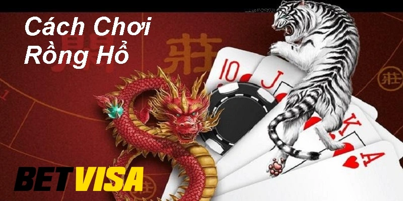 Cách Chơi Rồng Hổ Tại Betvisa